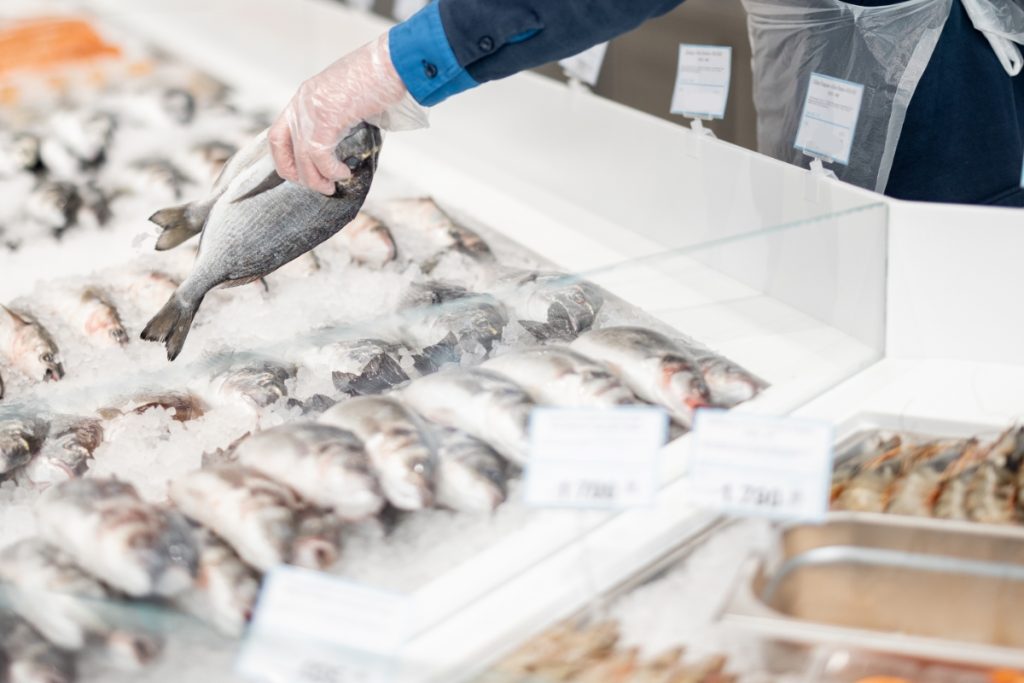 Quelles sont les principales différences entre les poissons d'eau douce et les poissons d'eau de mer ?